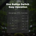 A11 - EDC Mini Rechargeable Multi-function Flashlight